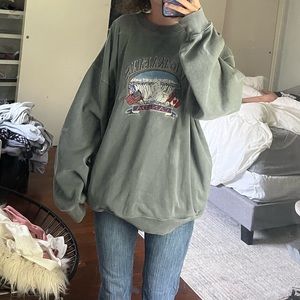 Reserved Brandy Melville oversized niagara Falls sweatshirt Crewneck